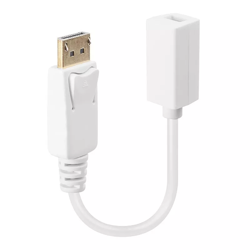 Lindy DisplayPort kištukas į Mini DisplayPort lizdą adapterio laidas