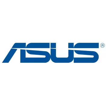 ASUS ACX13-007400PT garantijos / palaikymo pratęsimas 2 metai