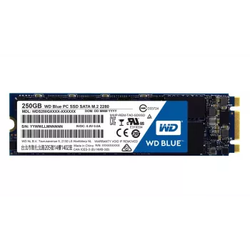 SSD diskas Western Digital 250GB 2,5 colio SATA3 WDS250G1B0B