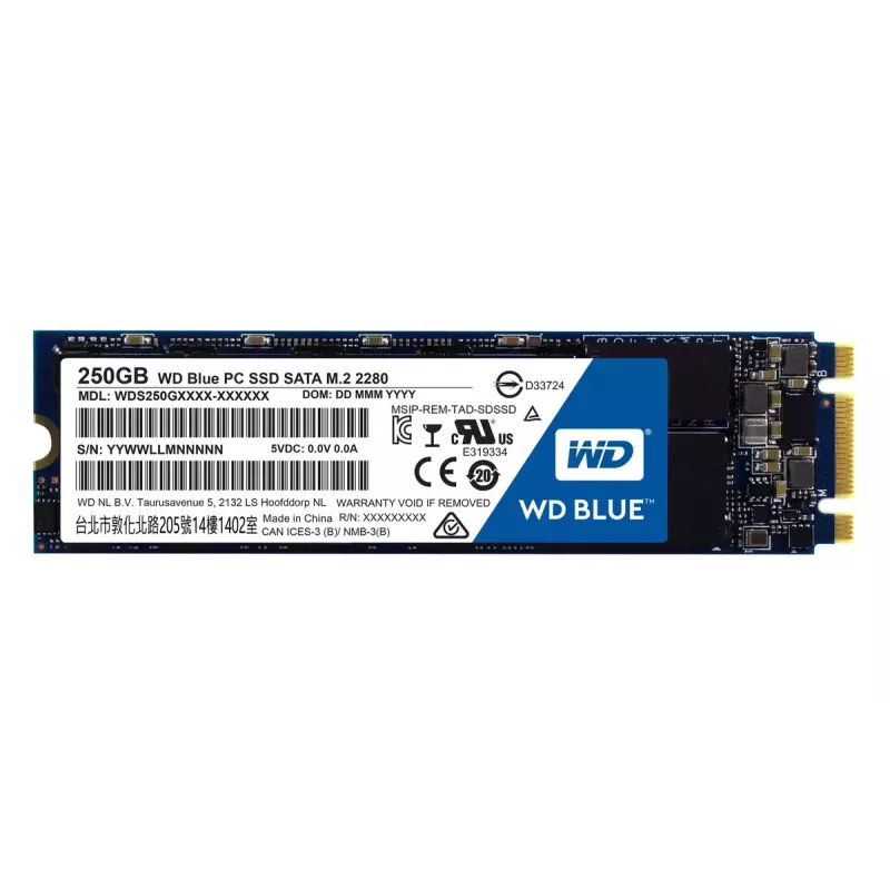 SSD diskas Western Digital 250GB 2,5 colio SATA3 WDS250G1B0B