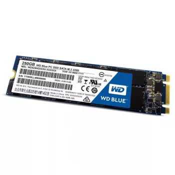 SSD diskas Western Digital 250GB 2,5 colio SATA3 WDS250G1B0B