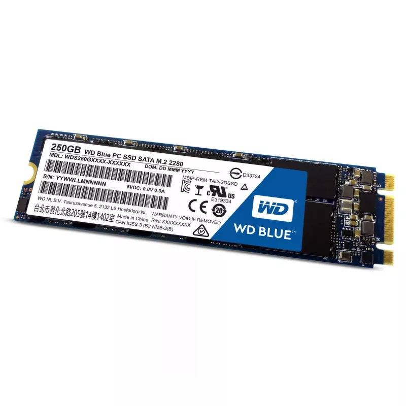 SSD diskas Western Digital 250GB 2,5 colio SATA3 WDS250G1B0B