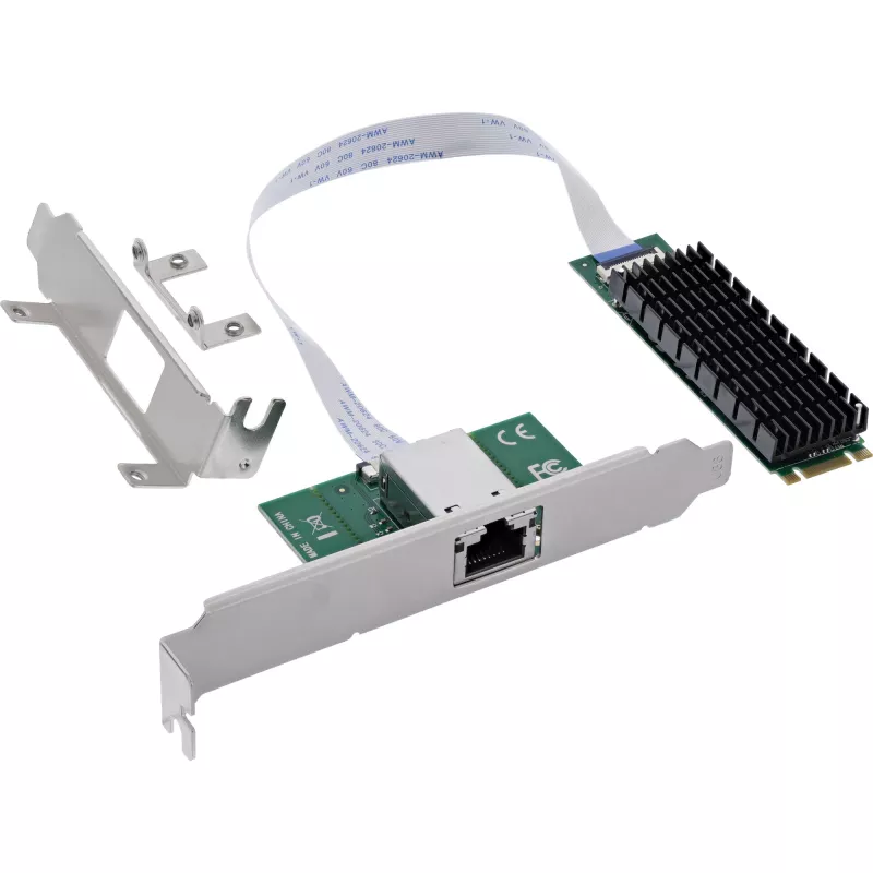 InLine 76660Y tinklo plokštė Vidinė Ethernet 10000 Mbit/s