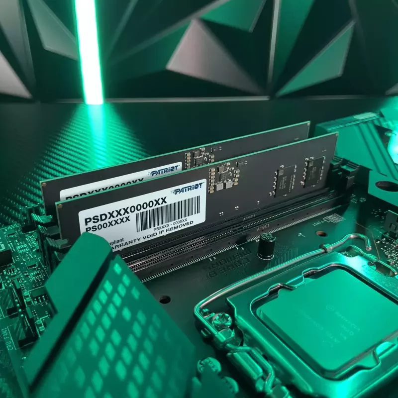 Memory Module Patriot 16 GB DDR5 5600 MHz