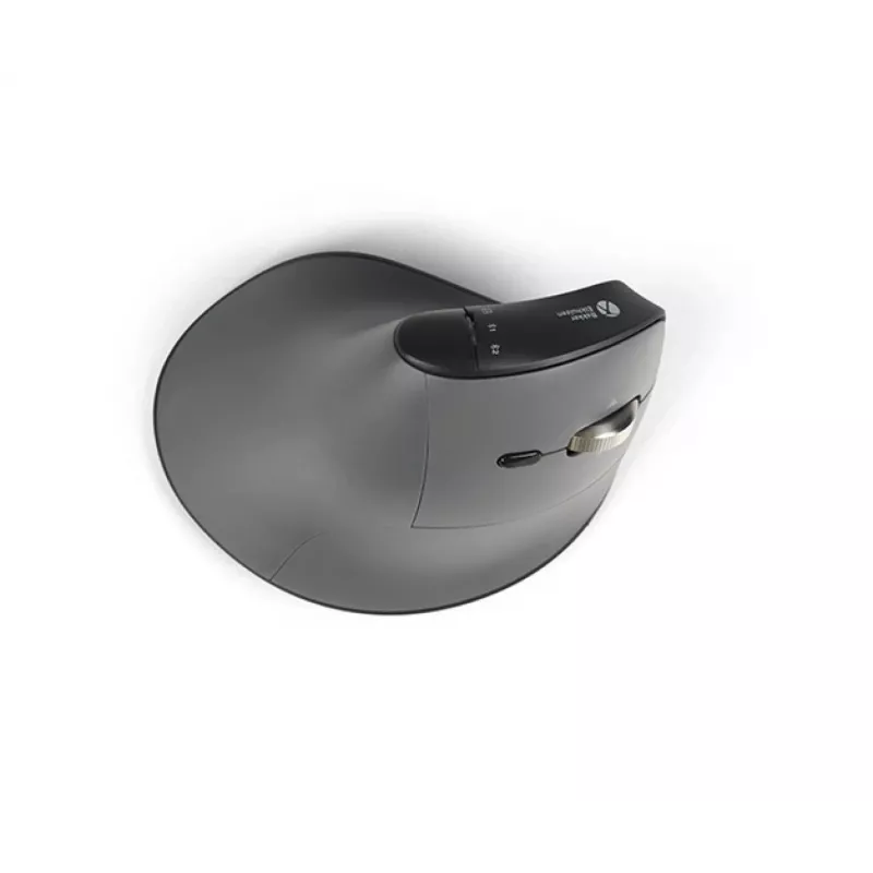 BakkerElkhuizen FastForward Pro pelė, dešiniarankiams, vertikalus dizainas, optinė, RF belaidė + Bluetooth + USB Type-C, 5000 DPI, juoda, pilka