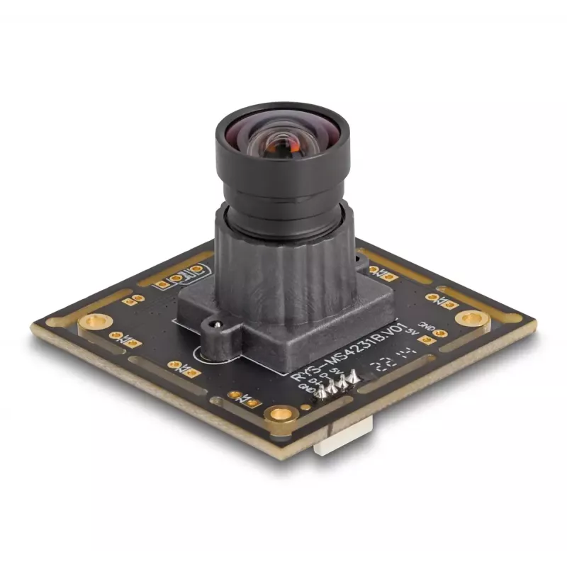 Internetinė kamera DeLOCK 12069 2,1 MP 1920 x 1080 pikselių USB 2.0 juoda