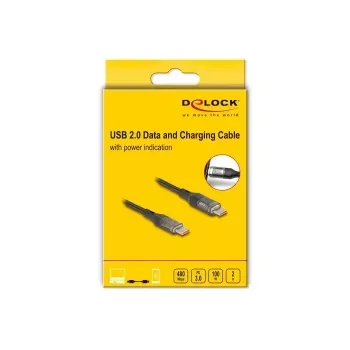 kabelis DELOCK USB Type-C to USB Type-C PD 3.0 100 W USB 2.0 duomenys 2 m su galios indikacija