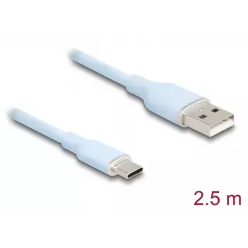 DeLOCK USB kabelis USB 2.0 2,5 m USB A USB C mėlynas