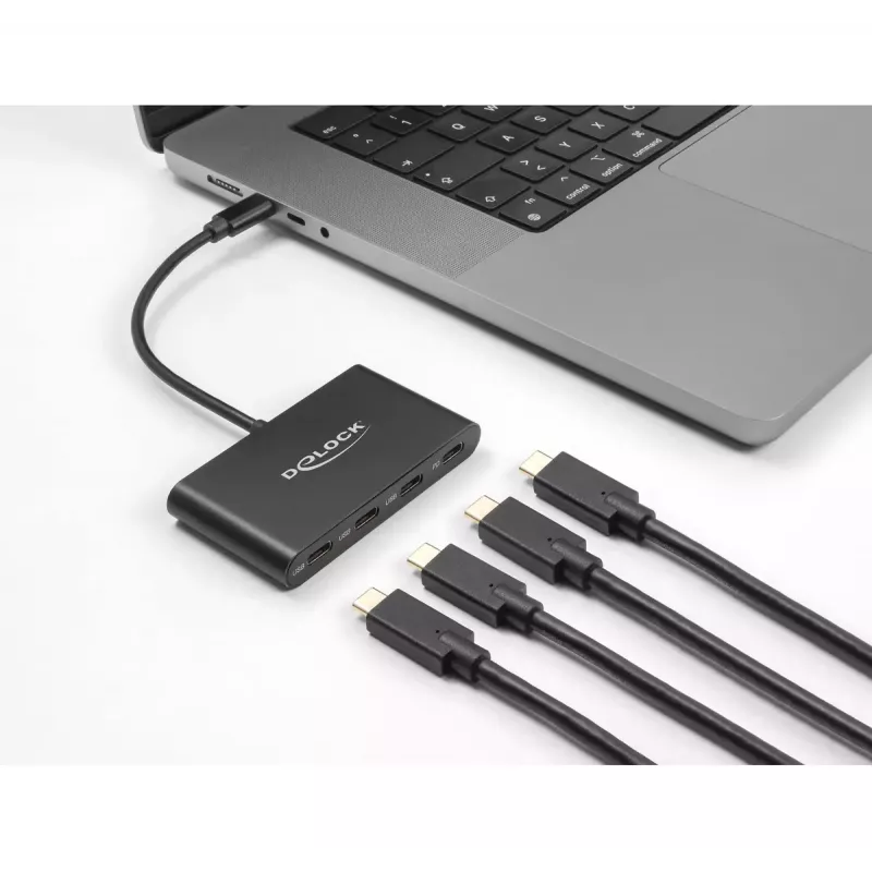 DeLOCK USB 3.2 Gen 1 USB Type-C koncentratorius 3 x USB Type-C lizdas 1 x USB Type-C PD 100 W