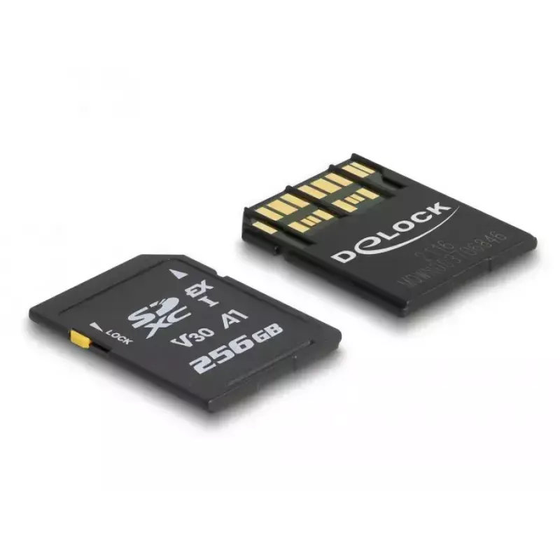 Atminties kortelė DeLOCK 256 GB SD UHS-I 54091