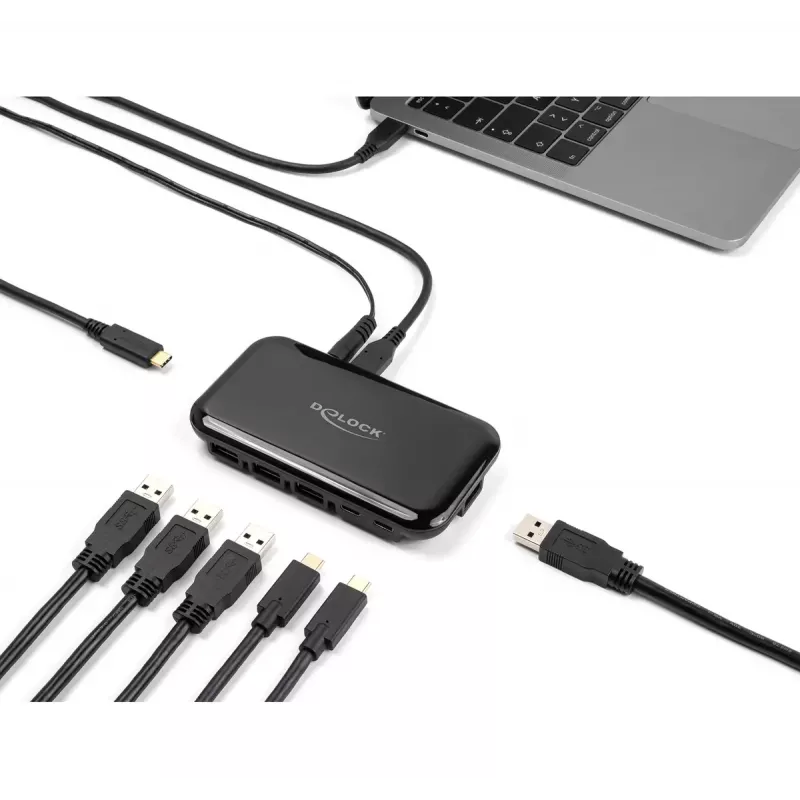 DeLOCK 64209 USB 3.2 Gen 2 Type-C šakotuvas 10000 Mbit/s Juoda