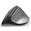 Hama EWM-700R pelė Biuro Dešiniarankiams RF belaidė + Bluetooth Optinė 2400 DPI