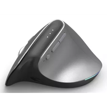 Hama EWM-700R pelė Biuro Dešiniarankiams RF belaidė + Bluetooth Optinė 2400 DPI