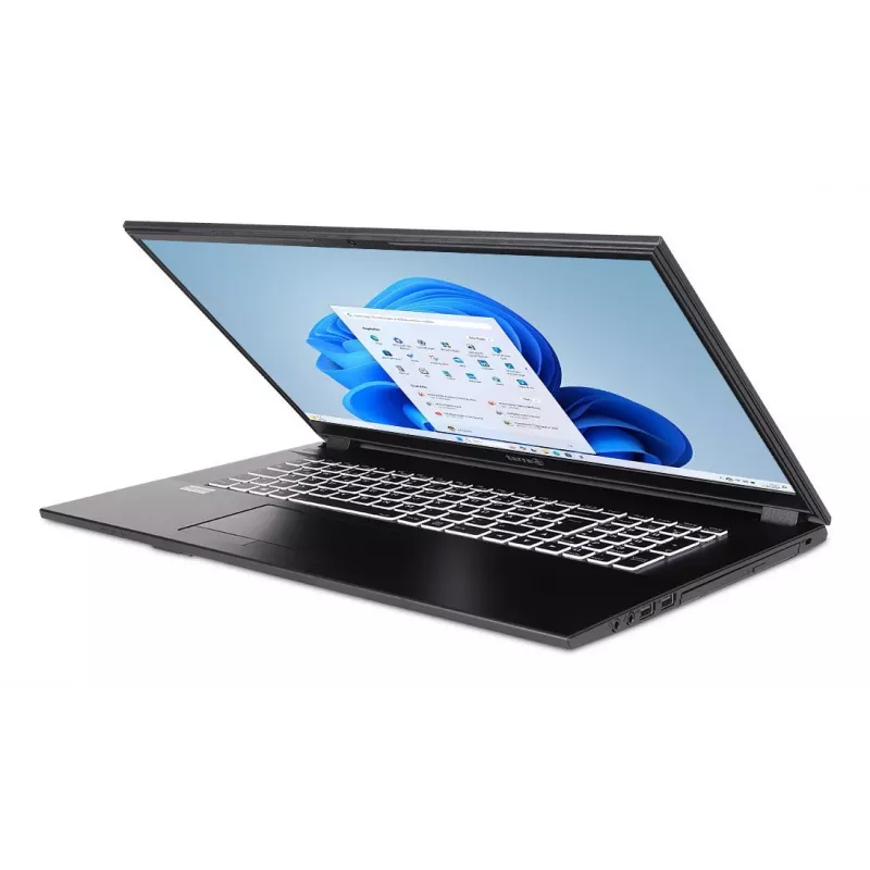 TERRA 1220855 nešiojamasis kompiuteris Intel® Core™ i5 i5-1334U 43,9 cm (17,3 col.) Full HD 16 GB DDR4-SDRAM 500 GB SSD Wi-Fi 6 (802.11ax) Windows 11 Home vokiška pilka