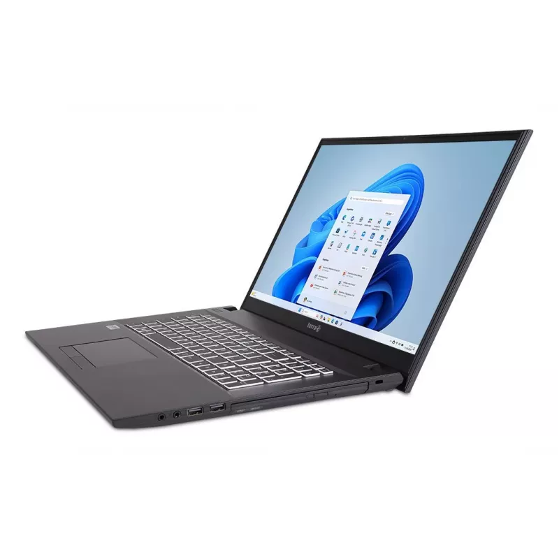 TERRA 1220855 nešiojamasis kompiuteris Intel® Core™ i5 i5-1334U 43,9 cm (17,3 col.) Full HD 16 GB DDR4-SDRAM 500 GB SSD Wi-Fi 6 (802.11ax) Windows 11 Home vokiška pilka