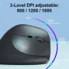 EQUIP ergonomic right-hand vertical wireless pelė 1600 DPI, RF Wireless + Bluetooth, rechargeable, 6 buttons, Juoda