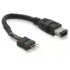 FireWire laidas DeLOCK 82379 0,016 m juodas kištukas–kištukas