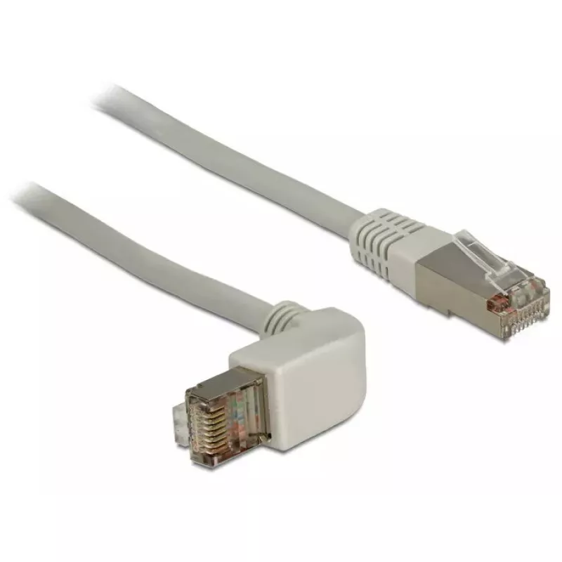 Tinklo kabelis DeLOCK 1m RJ-45 Cat6a Pilkas