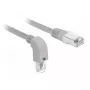 Tinklo kabelis DeLOCK 85855 0,5 m Cat5e SF/UTP