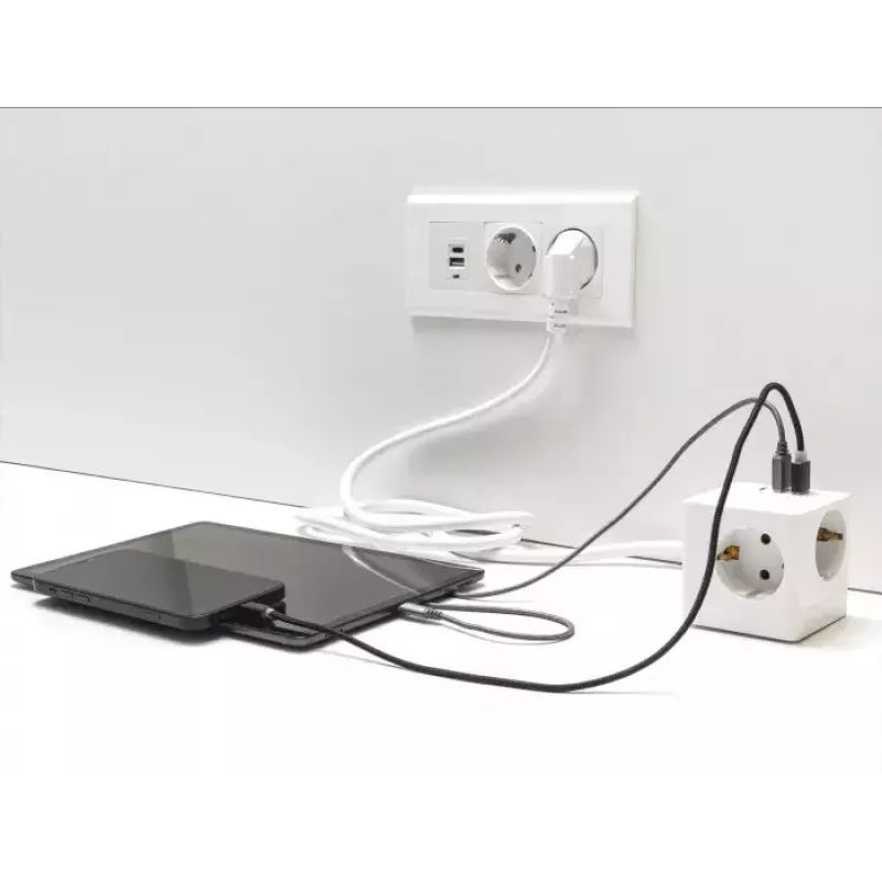 DeLOCK 11497 lizdas CEE 7/3 + USB baltas 250V 16A