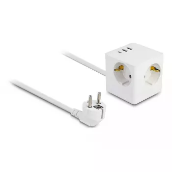 DeLOCK 11497 lizdas CEE 7/3 + USB baltas 250V 16A