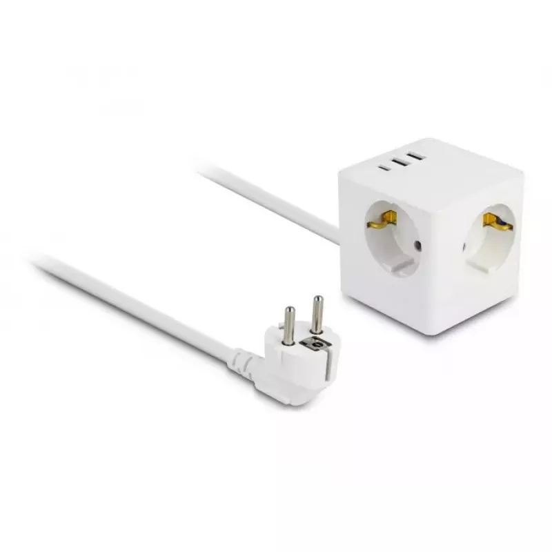 DeLOCK 11497 lizdas CEE 7/3 + USB baltas 250V 16A