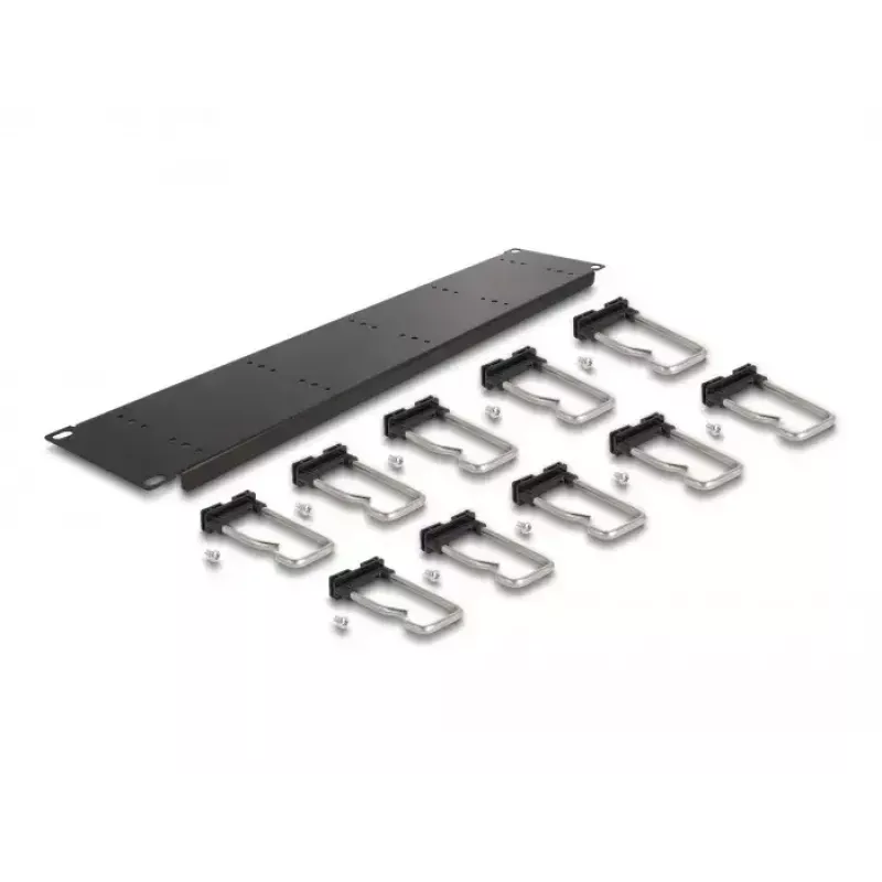 Kabelių valdymo panelė DeLOCK 19 inch 66919 su 10 metalinių kabliukų, juoda