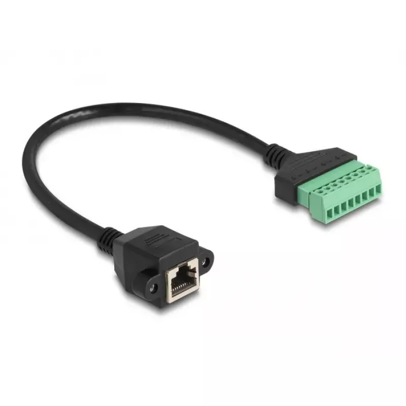 DeLOCK RJ45 laidas Cat.6 moteriška jungtis prie gnybtų bloko adapteris 30 cm