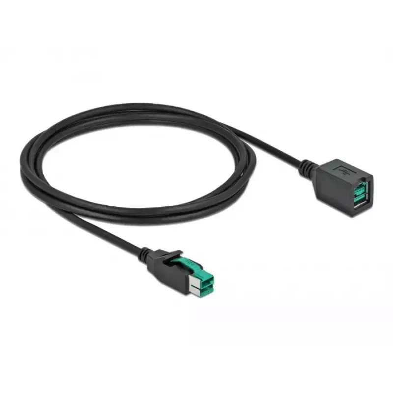 Maitinamas USB ilginimo kabelis DeLOCK 85981 12 V 2 m