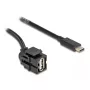 DeLOCK Keystone modulis USB 2.0 A lizdas į USB Type-C kištuką 250° 1,5 m