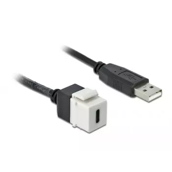 Keystone modulis DeLOCK 86382 plokščias juodos baltos spalvos USB C
