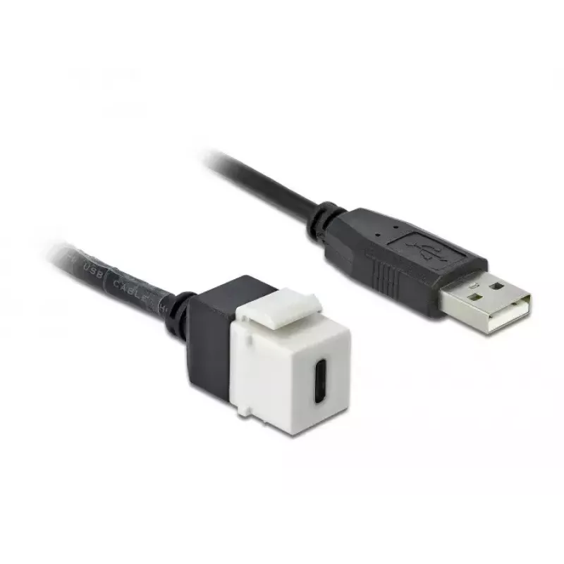 Keystone modulis DeLOCK 86382 plokščias juodos baltos spalvos USB C