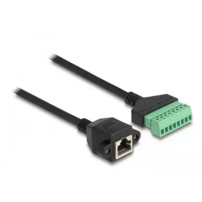 DeLOCK RJ45 laidas Cat.6 lizdas į gnybtų bloko adapterį 2 m