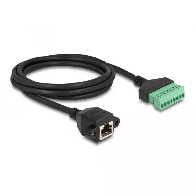 DeLOCK RJ45 laidas Cat.6 lizdas į gnybtų bloko adapterį 2 m
