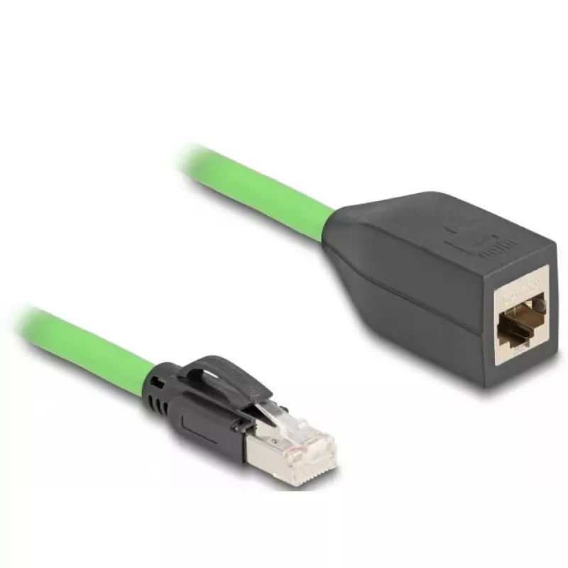 Tinklo kabelis DeLOCK 80880 RJ-45 Cat6a 1 m Žalias