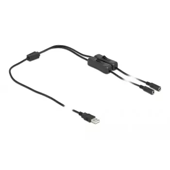 USB Type-A vyriškas lizdas į 2 x DC 5,5 x 2,1 mm moteriškas lizdas su jungikliu 1 m DeLOCK 86797