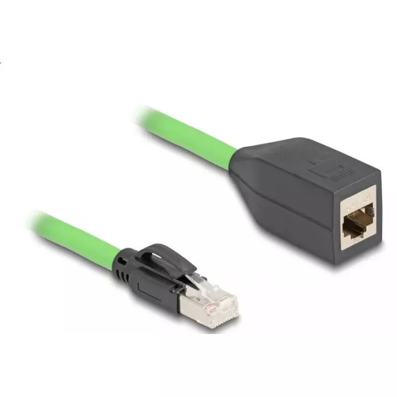 Delock tinklo kabelis RJ45 Cat.6A kištukas-lizdas 2m žalias