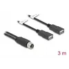 DeLOCK 60651 jutiklio / pavaros kabelis 3 m M12 2 x USB Type-A juodas