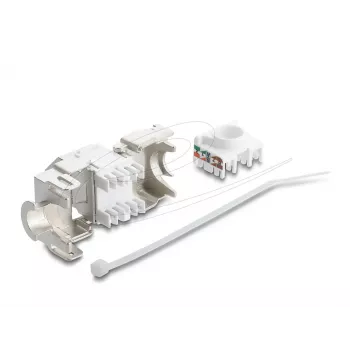 Keystone modulis DELOCK 90938 — RJ-45 Cat.6A ekranuotas plokščias keystone, baltas