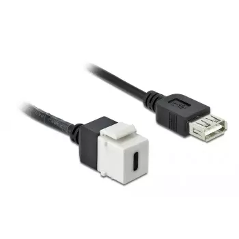 Keystone modulis DeLOCK 86391 USB C plokščias juoda balta