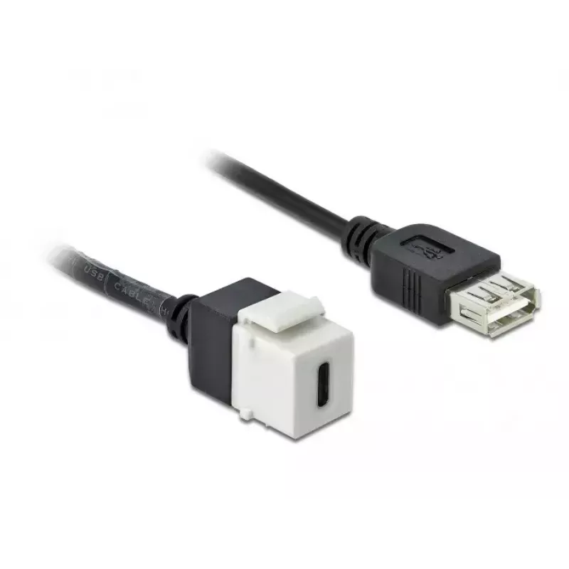 Keystone modulis DeLOCK 86391 USB C plokščias juoda balta
