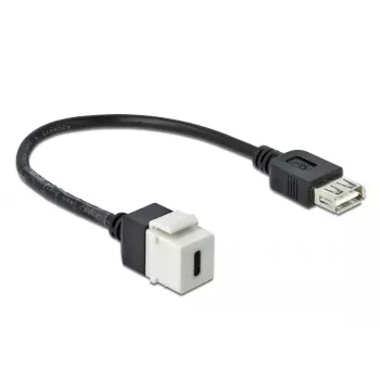 Keystone modulis DeLOCK 86391 USB C plokščias juoda balta