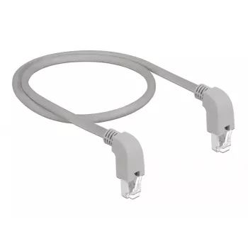 Tinklo kabelis DeLOCK 85859 Cat5e SF/UTP 1 m pilkas