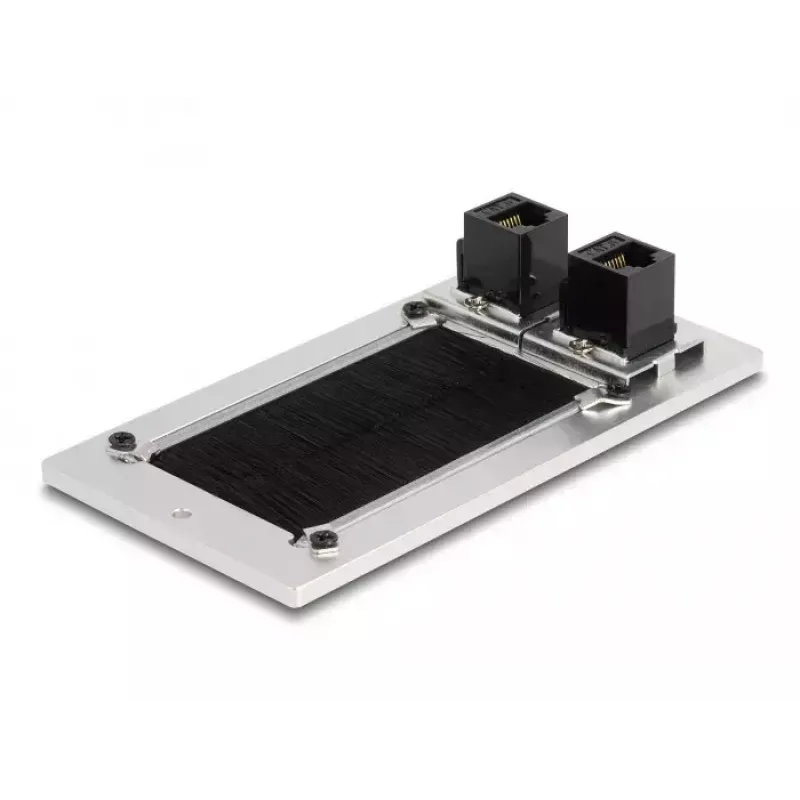 DeLOCK kabelių įvadas su šepečiu ir 2 x RJ45 Keystone moduliu Cat.6 aliuminis