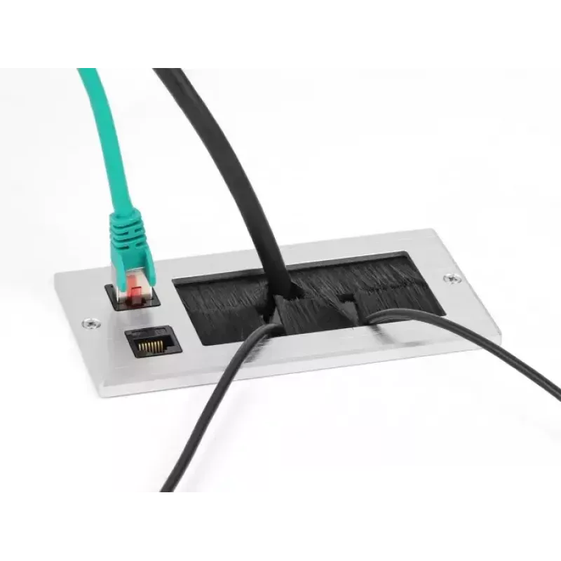 DeLOCK kabelių įvadas su šepečiu ir 2 x RJ45 Keystone moduliu Cat.6 aliuminis