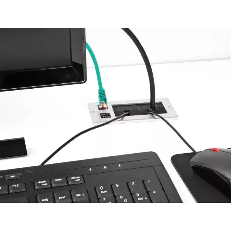 DeLOCK kabelių įvadas su šepečiu ir 2 x RJ45 Keystone moduliu Cat.6 aliuminis
