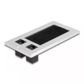 DeLOCK kabelių įvadas su šepečiu ir 2 x RJ45 Keystone moduliu Cat.6 aliuminis