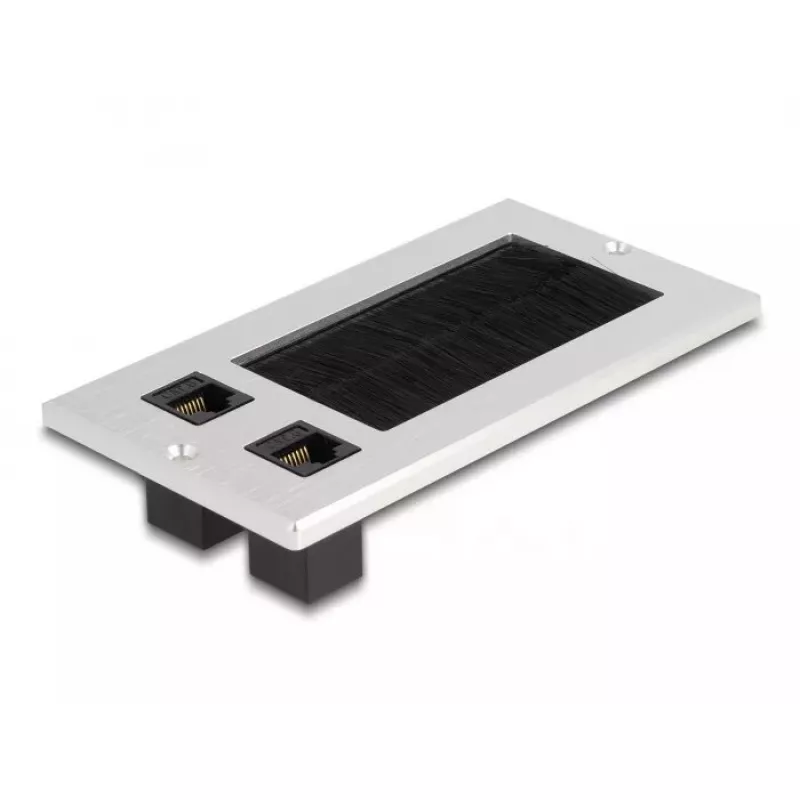 DeLOCK kabelių įvadas su šepečiu ir 2 x RJ45 Keystone moduliu Cat.6 aliuminis