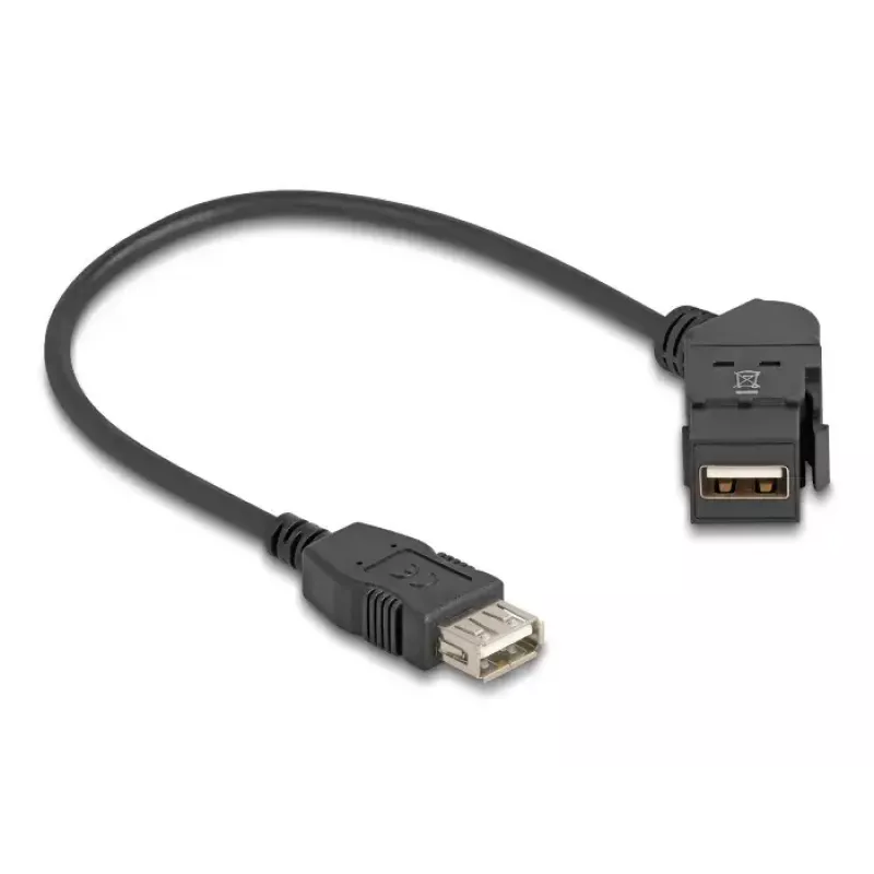 DeLOCK USB 2.0 Type-A skydo montavimo lizdas 45° kampu su 30 cm kabeliu juodas