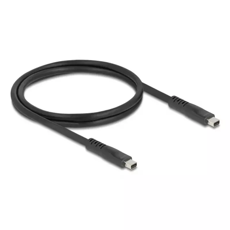DeLOCK 81176 DisplayPort kabelis 1 m Mini DisplayPort juodas